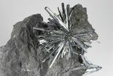 Metallic Stibnite Crystal Spray On Matrix - Xikuangshan Mine, China #175929-1